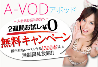 A-VODアボッドアダルトビデオ・オン・デマンド